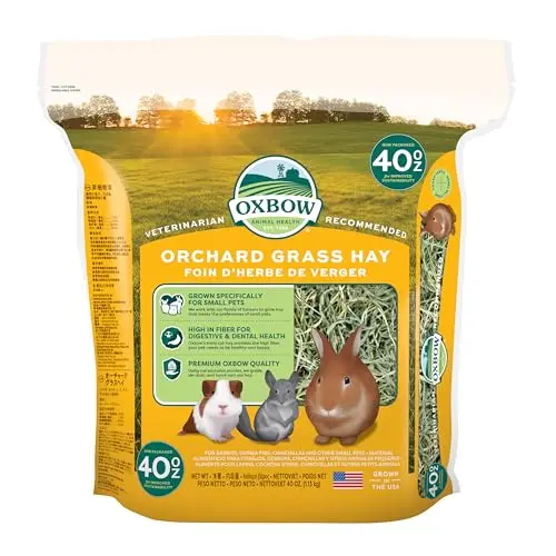 Best Hay for Guinea Pigs - 2026 Reviews