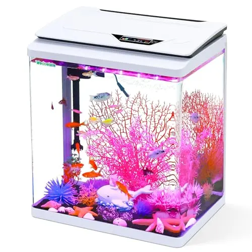 Photo inspiration: Visual Reference: Best Fish Tank For Goldfish